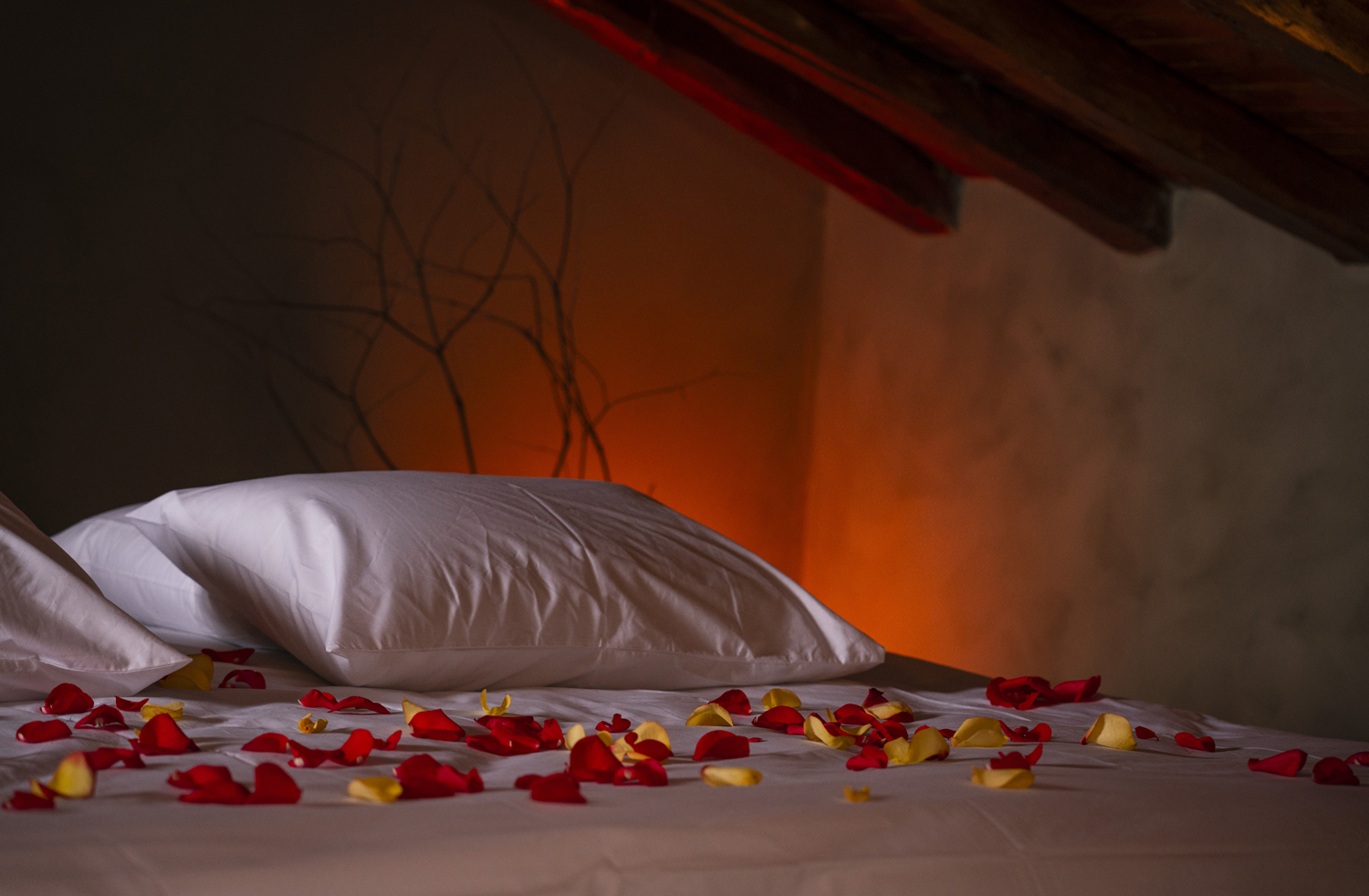 Appartement Loveroom Dolce notte avec spa balnéo